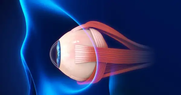 Anatomical illustration of a human eye with optic nerve and muscles, against a dark blue background with blue light effects.