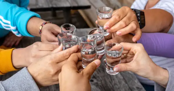 Grupa osób wznosi toast kieliszkami. Pamiętajmy, że alkohol obciąża nerki.