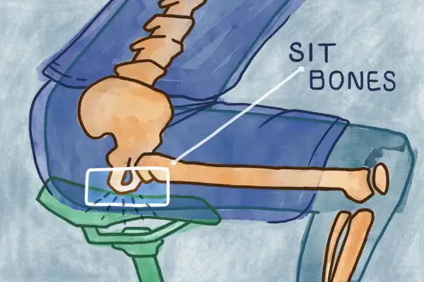 Illustrazione anatomica che evidenzia le ossa ischiatiche, punti di contatto sul sellino di una bicicletta.