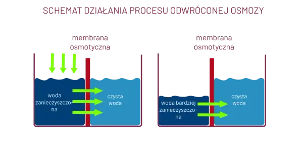 Schemat pokazuje, jak działa odwrócona osmoza: woda przechodzi przez membranę osmotyczną, oddzielając zanieczyszczenia.