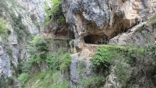 Un camino tallado en la roca, con vegetación exuberante, serpentea por un desfiladero. Una aventura en coche por los Picos de Europa.