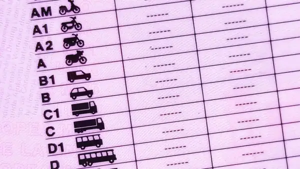 Detalle de un carnet de conducir con categorías de vehículos. Averigua cuanto cuesta renovar el carnet de conducir para cada tipo.