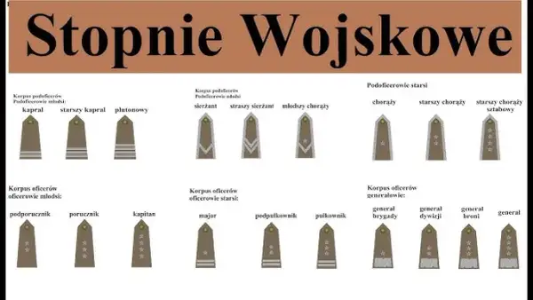 Jaki stopień po studiach wojskowych? Odkryj, co możesz osiągnąć