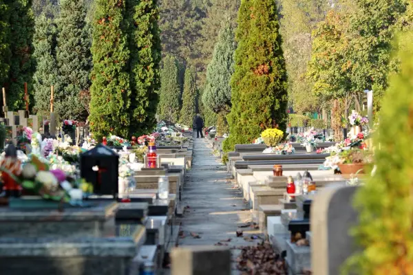 Jak dojechać na cmentarz osobowicki we Wrocławiu - uniknij problemów z dojazdem