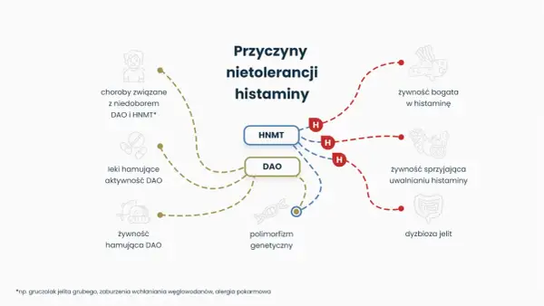 Schemat przyczyn nietolerancji histaminy, uwzględniający rolę DAO, polimorfizm genetyczny i czynniki żywieniowe.