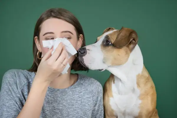 Alergia na sierść psa objawy - poznaj niepokojące sygnały zdrowotne