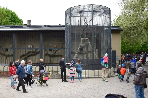 Odwiedzający oglądają zwierzęta w klatkach w **starym zoo Poznań**. Widać ludzi, wózki dziecięce i drzewa.