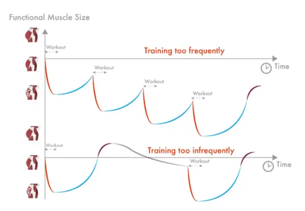 Ile razy w tygodniu ćwiczyć? Optymalny plan dla Twoich celów!
