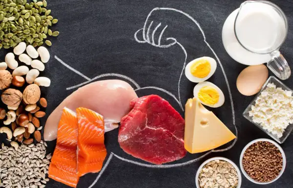 Vielfältige Proteinquellen wie Fisch, Fleisch, Eier, Milchprodukte und Nüsse – ideal für proteine zum abnehmen und Muskelaufbau.