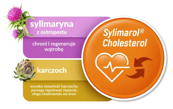 Sylimaryna z ostropestu i karczoch na tle grafiki z sercem i strzałkami, symbolizujące regulację cholesterolu.