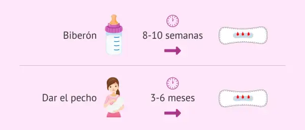 Biberón: 8-10 semanas. Dar el pecho: 3-6 meses. Así es cuando viene la regla después del parto.