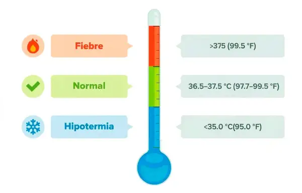 Termómetro muestra que cuanto es fiebre: >37.5°C. También indica temperatura normal y hipotermia.