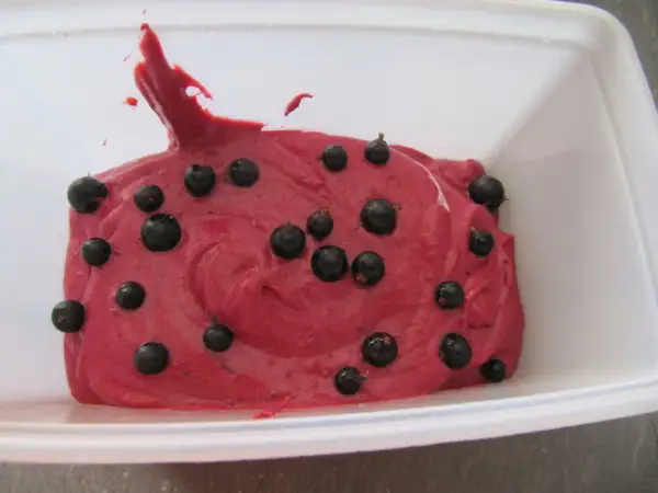 Sorbet cassis maison, une recette fruitée et rafraîchissante. La texture crémeuse est parsemée de baies noires pour un visuel gourmand.