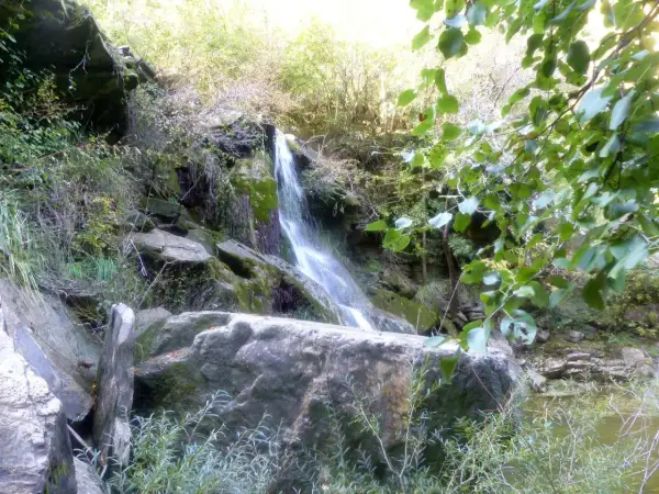 Cascata nella riserva naturale di Monterufoli-Caselli, con rocce muschiose e vegetazione lussureggiante.