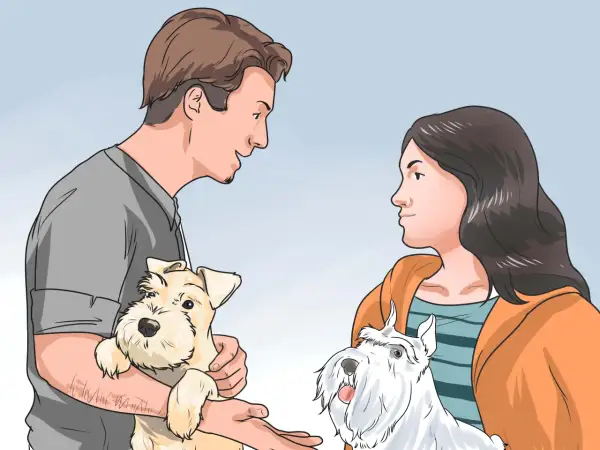 Hombre y mujer interactuando con dos perros. El hombre sostiene un perro beige, la mujer mira a un perro blanco. Aprende como ganarse la confianza de un perro.