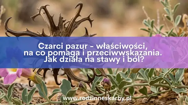 Dzikie pnącza i kwiaty otaczają zasuszone gałązki, przypominające czarci pazur. Tekst informuje o jego właściwościach i działaniu na stawy.