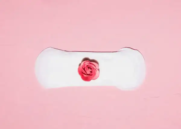 Delikatne plamienie implantacyjne, jak subtelny różany pączek na białym podkładzie, symbolizuje początek nowego życia.