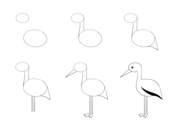 Ilustracja krok po kroku rysowania bociana, zaczynając od kółek.