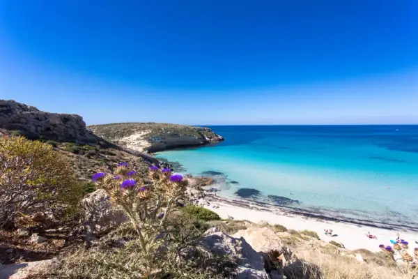 Vista mozzafiato di spiagge belle Sicilia, con acque cristalline, rocce e fiori viola in primo piano.