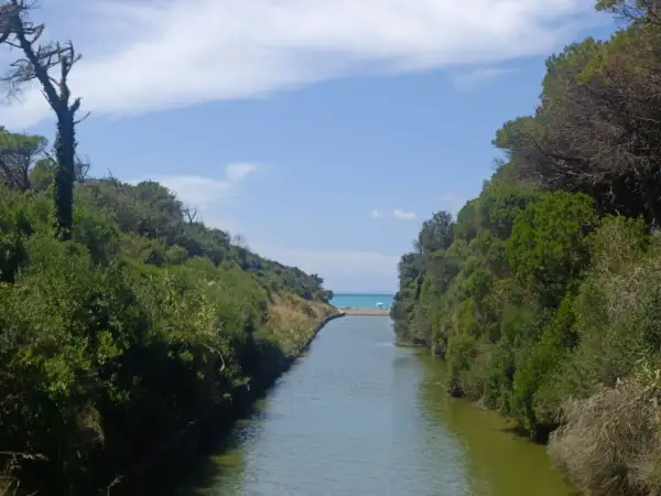 Canale che sfocia nel mare, incorniciato dalla vegetazione della riserva naturale Tomboli di Cecina.