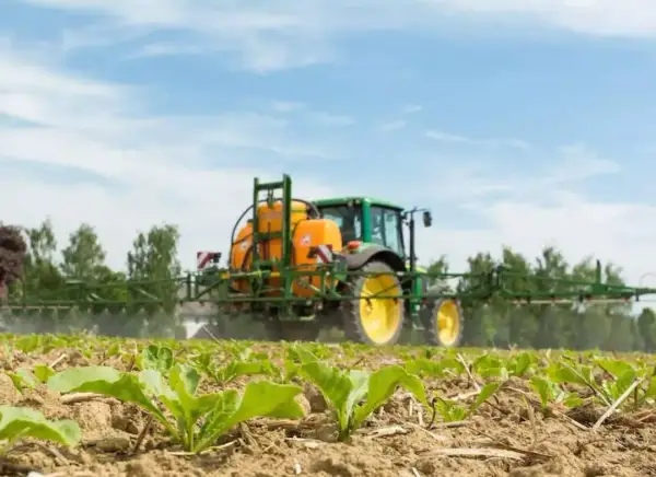 Zielony traktor z opryskiwaczem, zawierającym etofumesat, chroni młode buraki przed chwastami na polu.