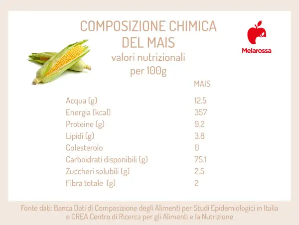 Composizione chimica del mais: valori nutrizionali per 100g, con dettagli su acqua, energia, proteine, lipidi, carboidrati e fibra.