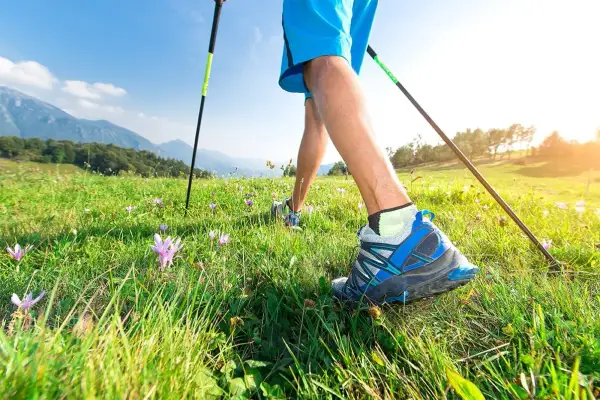 Un marcheur débute sa randonnée en pleine nature, profitant d'un paysage verdoyant et fleuri.