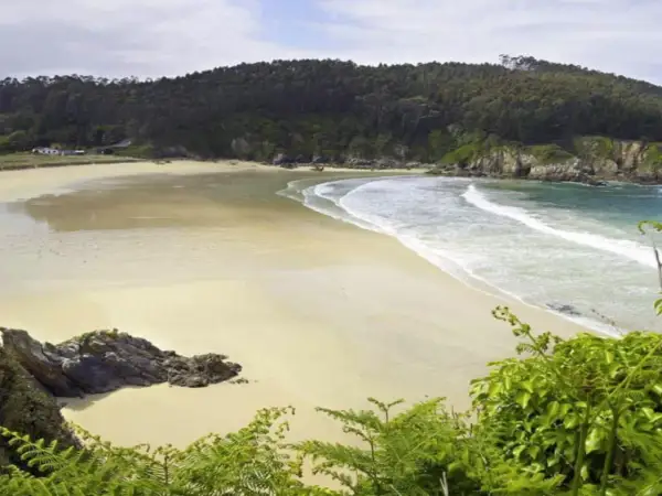 Paisaje de las calas de Lugo: playa dorada, mar turquesa y bosque frondoso.