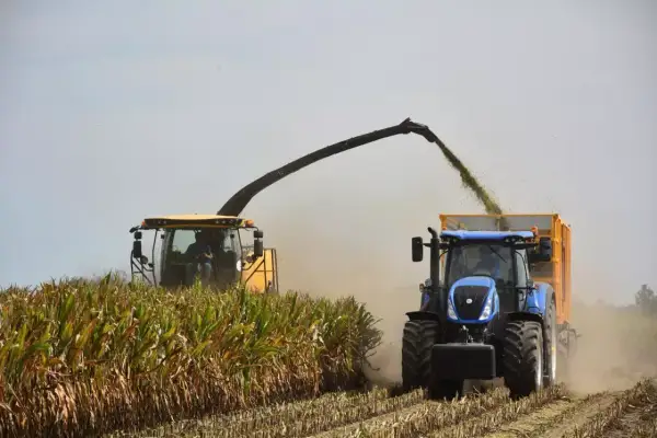 Żółta sieczkarnia zbiera kukurydzę, a niebieski traktor z przyczepą czeka na uzupełniającą płatność podstawową.