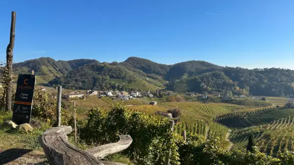 Wzgórza winnic w Conegliano, gdzie powstaje najdroższe prosecco. Widok na malowniczą wioskę i pola winorośli.