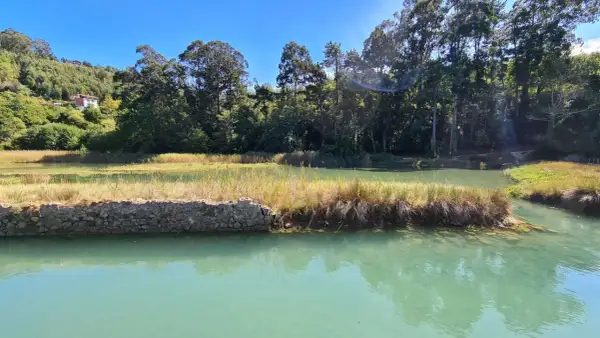 Paisaje sereno con aguas turquesas y vegetación exuberante, ideal para explorar las **rutas lekeitio**.