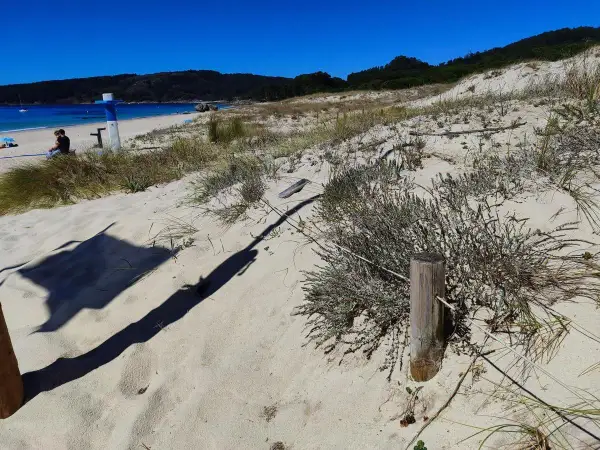 Dunas de arena y vegetación en la playa de Rodeira, con el mar azul y una persona sentada al fondo.