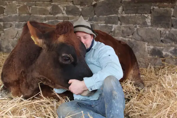 Ein Mann in Jeans und kariertem Hemd umarmt innig eine braune Kuh. Sie kuscheln im Stroh vor einer Steinmauer.