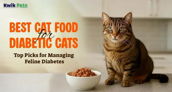 A tabby cat sits beside a bowl of kibble, with text reading "BEST CAT FOOD for DIABETIC CATS" and "Top Picks for Managing Feline Diabetes.
