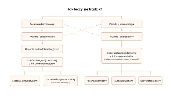 Schemat leczenia trądziku: porada u dermatologa lub kosmetologa, badania, dobór pielęgnacji domowej i zabiegi takie jak antybiotyki, izotynotretynoina, peelingi, kuracja światłem, oczyszczanie skóry.