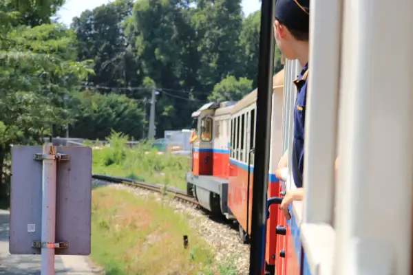 Chłopak w czapce patrzy przez okno pociągu. Zastanawiasz się, ile kosztuje przesyłka konduktorska?