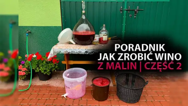 Jak zrobić wino malinowe - proste przepisy i najczęstsze błędy