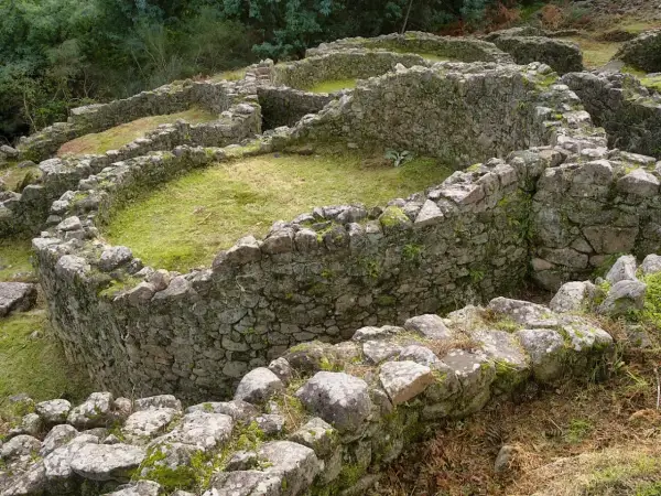 Ruinas circulares de piedra cubiertas de musgo y hierba en el **castro de Troña**, con vegetación verde al fondo.