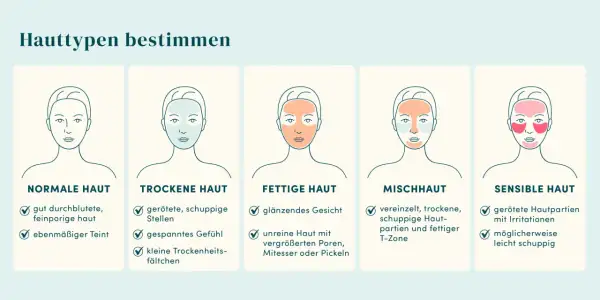 Illustrationen zeigen, wie finde ich meinen hauttyp heraus: normale, trockene, fettige, Mischhaut und sensible Haut mit typischen Merkmalen.