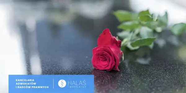 Czerwona róża na kamieniu. Potrzebujesz pomocy, co zrobić z dokumentami po zmarłej osobie? Kancelaria prawna HALAŚ i wspólnicy.