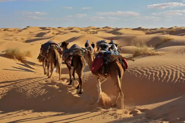 Caravane de chameaux traversant les dunes de sable en Tunisie. Une expérience inoubliable pour savoir que faire en Tunisie.