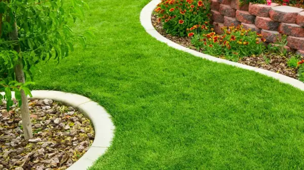 Wapno na trawnik: Jak wybrać i kiedy stosować? Poradnik
