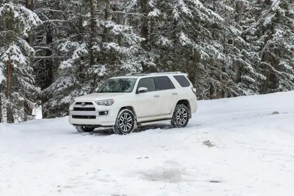Biały SUV z napędem **awd** stoi na zaśnieżonej drodze w lesie.