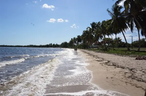 Piękna plaża z palmami, fale obmywają brzeg. Idealne miejsce, by zapytać: Kuba, kiedy jechać?