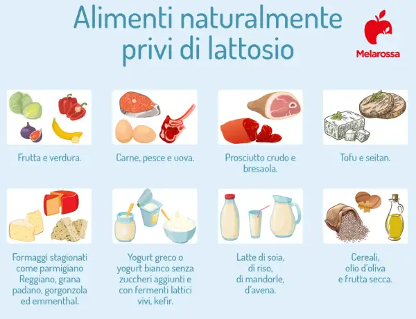 Formaggi stagionati come grana padano, parmigiano, emmenthal e gorgonzola sono naturalmente privi di lattosio.