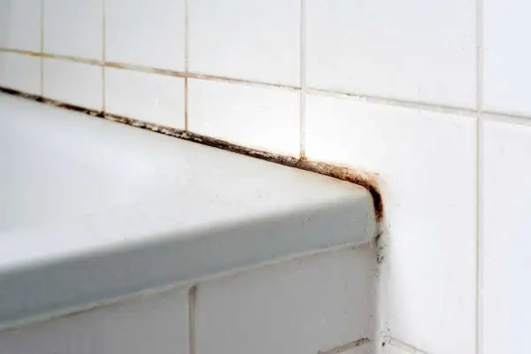 Angolo della doccia con muffa nera e ruggine. Scopri come pulire il nero della doccia per un bagno splendente.