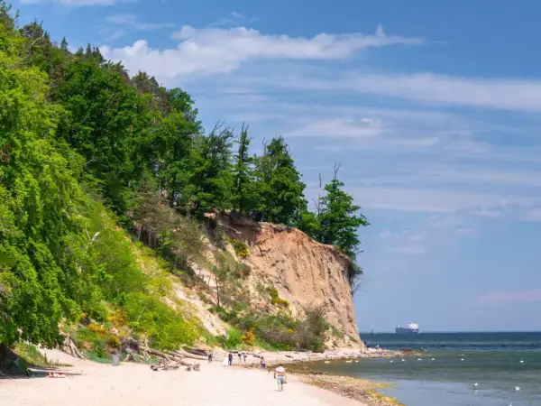 Plaża z klifem i lasem, idealne atrakcje nad morzem. Ludzie spacerują, odpoczywają, a na horyzoncie widać statek.