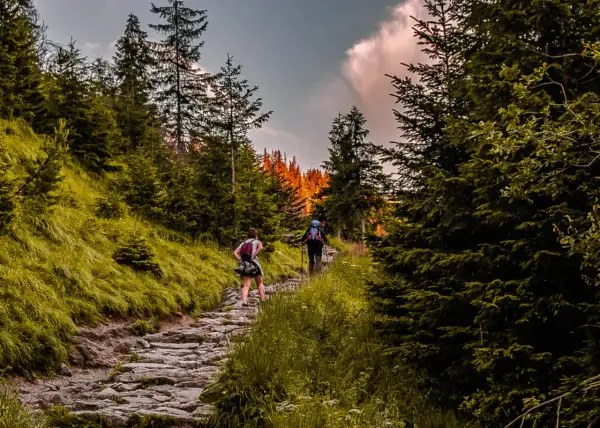 Zwei Wanderer genießen eine malerische Tour im Odenwald. Der steinige Pfad schlängelt sich durch dichte Wälder, während die Sonne die Baumwipfel in warmes Licht taucht.