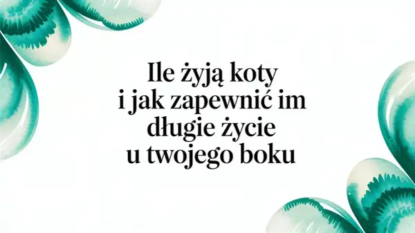 Ile kot ma żyć? Dowiedz się, jak zapewnić mu długie i szczęśliwe życie u Twojego boku.