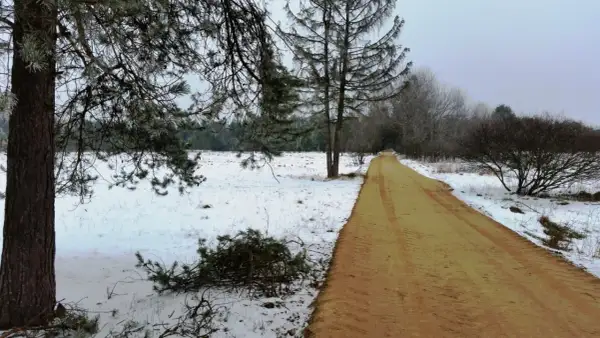 Zimowa trasa rowerowa Czarny Dunajec. Piaszczysta droga wśród ośnieżonych pól i drzew.
